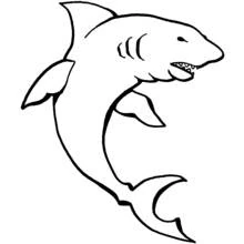 Dibujo de Tiburón con el cuerpo arqueado para colorear