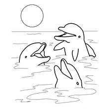 Dibujo de Delfines jugando en el agua para colorear