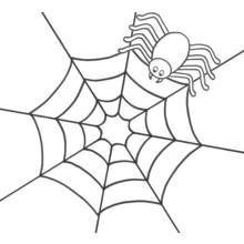 Araña - Dibujos para colorear gratis