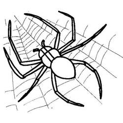 Dibujo de Araña posada en su telaraña para colorear Dibujo de Araña posada en su telaraña para colorear