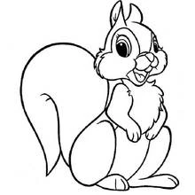 Ardilla - Dibujos para colorear gratis