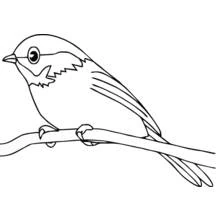 Dibujo de Pequeño pájaro posado en una rama para colorear