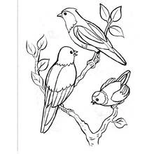 Dibujo de Tres aves posadas en ramas para colorear