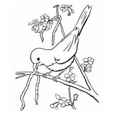 Dibujo de Ave de cola larga entre flores y enredaderas para colorear