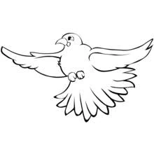 Dibujo de Ave volando con las alas extendidas para colorear