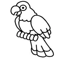 Aves - Dibujos para colorear gratis