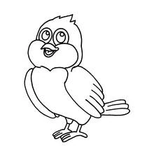 Dibujo de Pájaro de dibujos animados con ojos grandes para colorear