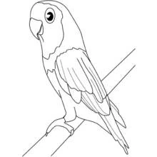 Dibujo de Ave posada en una rama para colorear