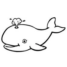 Dibujo de Ballena echando agua para colorear