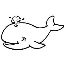 Dibujo de Ballena lanzando agua para colorear
