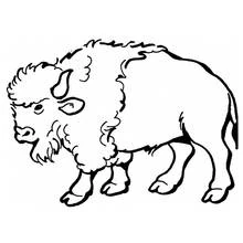 Bisonte - Dibujos para colorear gratis