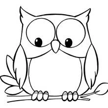 Búho - Dibujos para colorear gratis