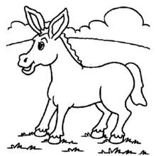 Burro - Dibujos para colorear gratis