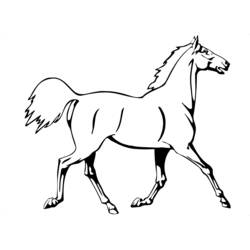 Dibujo de Caballo trotando de perfil para colorear