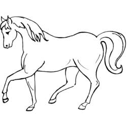 Dibujo de Caballo caminando con melena ondulada para colorear