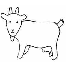 Dibujo de Cabra de pie con barbilla pequeña para colorear