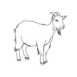 Cabra - Dibujos para colorear gratis