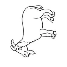 Dibujo de Cabra de pie con un cuerno curvado para colorear