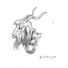 Dibujo de Cabra con cuernos largos para colorear