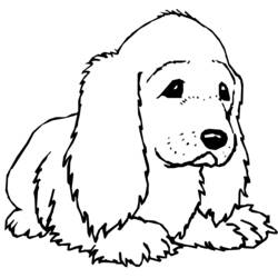 Dibujo de Cachorro echado con orejas largas para colorear