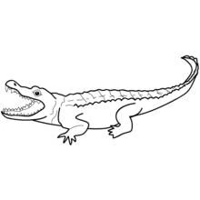 Caimán - Dibujos para colorear gratis