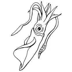 Dibujo de Calamar de tentáculos largos para colorear Dibujo de Calamar de tentáculos largos para colorear