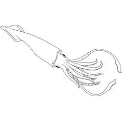 Dibujo de Calamar nadador con tentáculos ondulantes para colorear Dibujo de Calamar nadador con tentáculos ondulantes para colorear