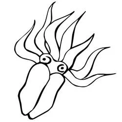 Dibujo de Calamar con largos tentáculos ondulados para colorear Dibujo de Calamar con largos tentáculos ondulados para colorear