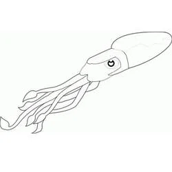 Dibujo de Calamar en forma de torpedo de perfil para colorear Dibujo de Calamar en forma de torpedo de perfil para colorear