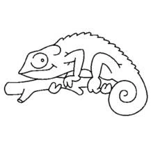 Camaleón - Dibujos para colorear gratis