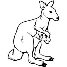 Canguro - Dibujos para colorear gratis