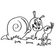 Dibujo de Caracol charlando con una hormiguita para colorear Dibujo de Caracol charlando con una hormiguita para colorear