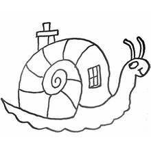 Dibujo de Caracol con caparazón en forma de casa para colorear Dibujo de Caracol con caparazón en forma de casa para colorear