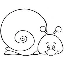Dibujo de Caracol con una gran concha en espiral para colorear Dibujo de Caracol con una gran concha en espiral para colorear