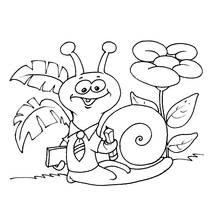 Dibujo de Caracol vestido de escolar con corbata y lápiz para colorear Dibujo de Caracol vestido de escolar con corbata y lápiz para colorear