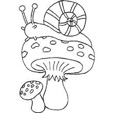 Dibujo de Caracol sobre una seta con manchas para colorear Dibujo de Caracol sobre una seta con manchas para colorear