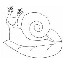 Dibujo de Caracol sonriente sobre una hoja para colorear Dibujo de Caracol sonriente sobre una hoja para colorear