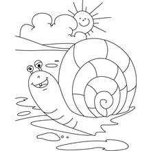 Dibujo de Caracol sonriente bajo un cielo soleado para colorear Dibujo de Caracol sonriente bajo un cielo soleado para colorear