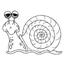 Dibujo de Caracol con mirada somnolienta para colorear Dibujo de Caracol con mirada somnolienta para colorear