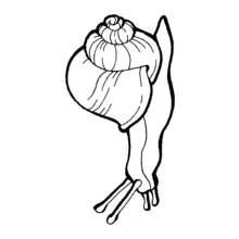 Dibujo de Caracol con una gran concha en espiral para colorear Dibujo de Caracol con una gran concha en espiral para colorear