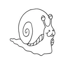 Dibujo de Caracol con una concha en espiral para colorear Dibujo de Caracol con una concha en espiral para colorear
