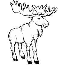 Caribú - Dibujos para colorear gratis