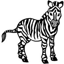 Cebra - Dibujos para colorear gratis