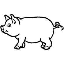 Cerdo - Dibujos para colorear gratis