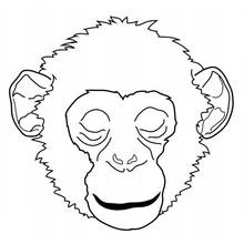 Dibujo de Chimpancé rostro de frente para colorear