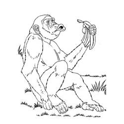 Dibujo de Chimpancé sosteniendo una banana para colorear