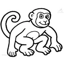 Dibujo de Chimpancé sentado con la cola enroscada para colorear