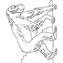 Dibujo de Chimpancé trepando por una rama para colorear