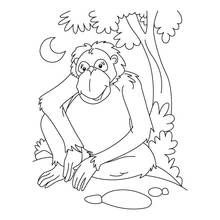 Dibujo de Chimpancé sentado bajo un árbol de noche para colorear