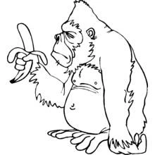 Dibujo de Chimpancé sujetando un plátano para colorear